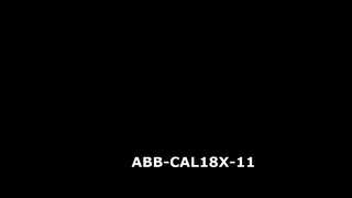 ABB-CAL18X-11