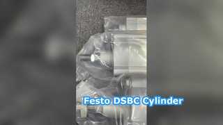 Festo-DSBC-125-250-PPVA-N3